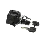 Stoelting 719102-SV Switch Assembly with Keys