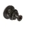 Blakeslee 75221 CLUSTER GEAR
