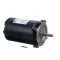 Saniserv 75819 MOTOR 1/4HP 1075RPM