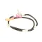 Toastmaster 7606155 Thermostat Assembly