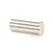 Lincoln 790010 Pivot Pin, Door Arm