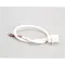 True 801603 POWER CORD, SHELF 21 P-5-7 MALE