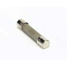 Frymaster 8072819 Fuse, 20A