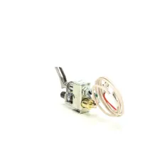 Frymaster 8101830 Pilot Burner/Thermopile Assembly, Natural Gas