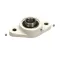 Aerowerks 8102213 Flange Bearing, 1", 2 Bolt White Plastic Housing with Grease Nipple
