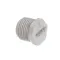 True 812040 Plug, Threaded, 1/2" PCVTP12