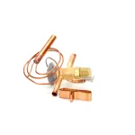 True 813300 VALVE EXPANSION EBFSE-AAAC INLET STRAINER