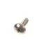 APW Wyott 8196700 SCREW,TAPPING #10X3/4 TR PH TY