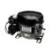 True 820679 COMPRESSOR, FFU160UAX 115V/60H