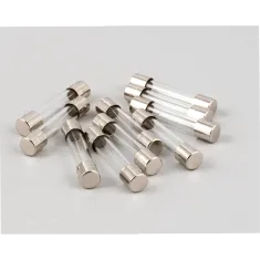 Frymaster 8261393 FUSE, (8070910) QTY. 10 (PDS)