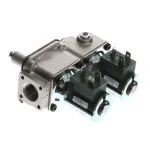 87663-101 Henny Penny - Dual Gas Solenoid Valve
