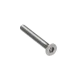 Royalton 883 SCREW, TORX, CORRECTIONAL