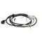 True 908555 Power Cord, 120V, 18 Gauge, 5-15P with Junction Block
