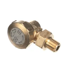 Crown Steam 9170-1 STEAM TRAP