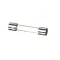 Crown Steam 9173-2 FUSE TIME DELAY 0.3A 250V