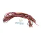 True 920683 Wire Harness Assembly, Heated Switches to Thermostat Displays, TA/TG/TR