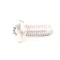 Delfield 9321355 Screw, Phillips, Pan Head, #10-32 x 1/2"