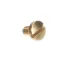 Delfield 9321379 Screw, Slotted, 8-32 x 1/4", Brass