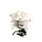 Lancer 94-260-05 Shurflo Brix Pump, 5