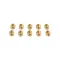 Bertazzoni 95631A100 M5 X 0.8 BRASS TAPPING - 10 PK