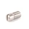 Meiko 9631455 SET SCREW SLIT M6X12