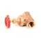 Meiko 9717003 Gate Valve, 3/4"", DN20, PN25