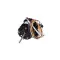 Heatcraft 9721 MOTOR