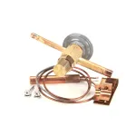 A la Cart 97271-1 Thermo Expansion Valve, EBFS-AA-Z