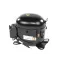 True 979681 COMPRESSOR, NT2170U 208-230V/60HZ