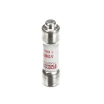 Salvajor 994101 Fuse, 2 Amp, ATMR2