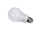 American Panel 9D-1204 SCREW IN LED BULB