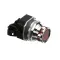 Stero Dishwasher A10-1938 Switch Assembly, Push Button, Run/Pilot, 120 Volt