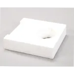 Astro Blender A2000FB-01 FOAM BLOCK, AB MOTOR