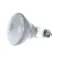 American Range A20016 Bulb, Flood, 120V, 65W