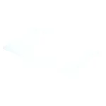Pitco - A6060301 - Overlay Clear Tdi 7 Cmptr