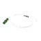 Pump Inlet Hose with Strainer &amp; Check Valve