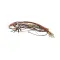 American Range AMRA13016 Majestic Wiring Harness, M/MSDE