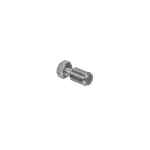 Axis Pin with Nut, Slotted