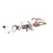Tri-Star Manufacturing AS-390232 KIT;FLAME SWITCH TO IGNITION M