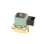 Salvajor AS824DIN Solenoid Valve, 24V, 50/60Hz, 1/2"