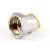 B-0413 T&S Brass
