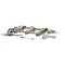 T&S Brass B-2857 LAV FAUCET, CONCEALED BDY, 8 CNTRS, COMP CART, 4
