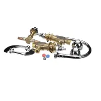 B-2865-06 T&S Brass