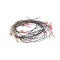 Pitco B6711703 WIRING,FR PNL BZL RH/DVI 18,E18-2
