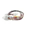Pitco B6746101 WIRING HARNESS,SPINAL TAP UPPER 24V SG