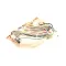 Pitco B6751101 Wiring Harness, Spinal Tap Lower
