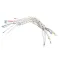 Pitco B6782301 WRG, HV 3PH WYE SRTE