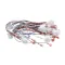 Pitco B6784401 Wire Harness, Single Switch Control Panel, MKG-OB