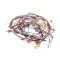 Pitco B6792601 WIRING,GPC DIGITAL W/EI