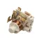 Stoelting BR0354 RELAY (BR0352)